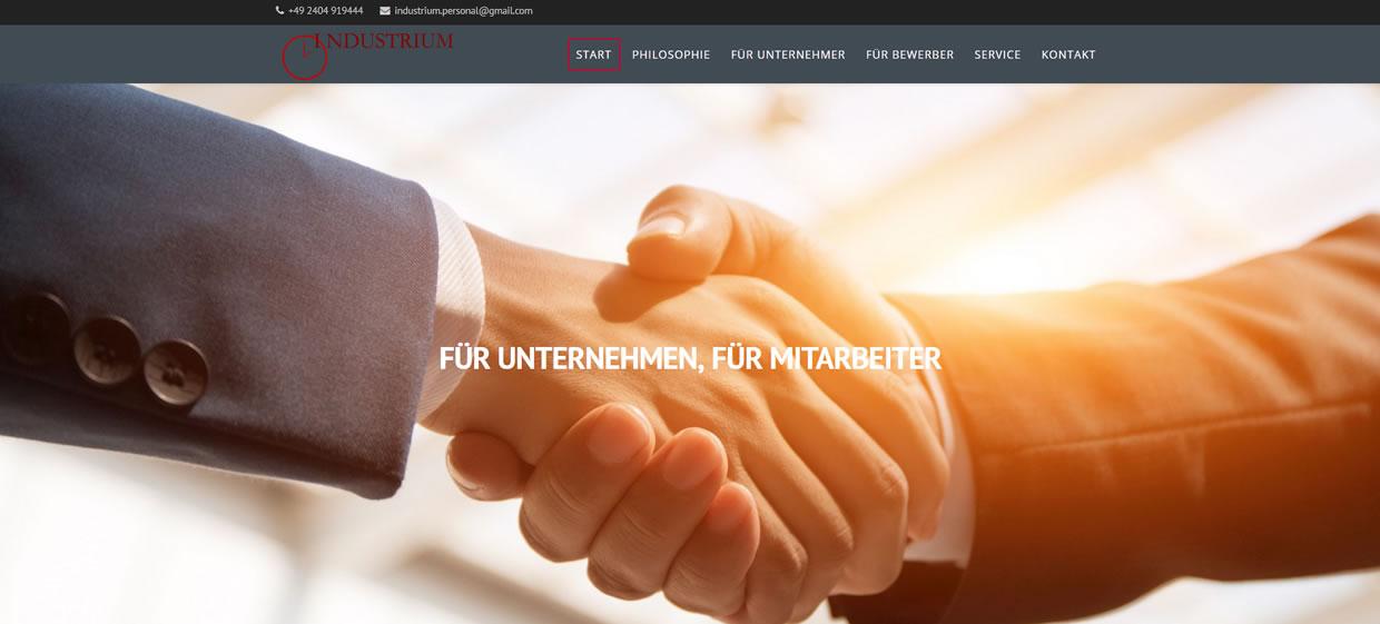 Homepage Erstellung Schleswig