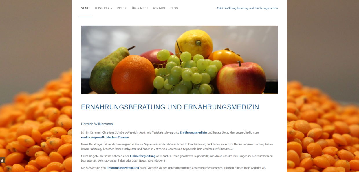 Homepage Erstellung Schleswig